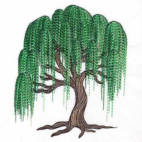 Texture and Wonder Weeping Willow