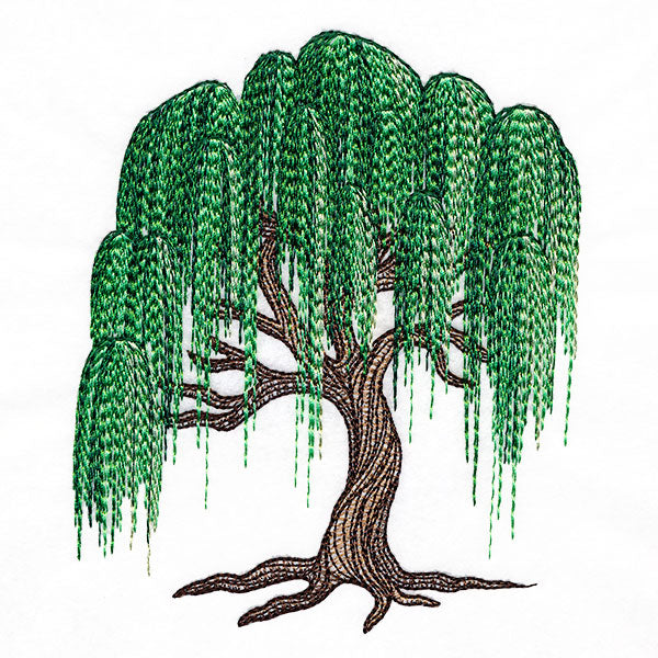 Texture and Wonder Weeping Willow