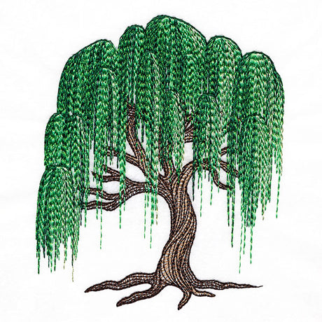 Texture and Wonder Weeping Willow