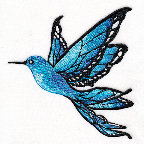 Blue Morphology Butterfly Hummingbird