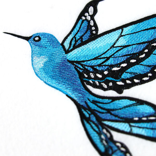 Blue Morphology Butterfly Hummingbird