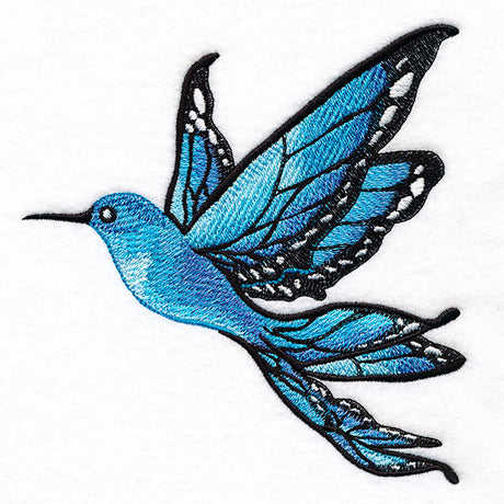 Blue Morphology Butterfly Hummingbird