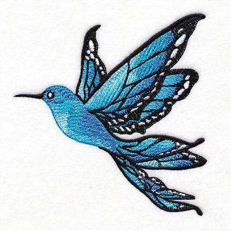 Blue Morphology Butterfly Hummingbird