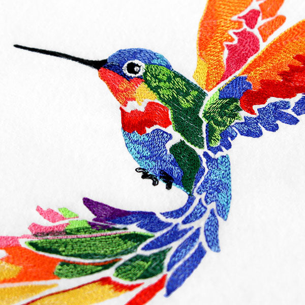 A Splash of Color Rainbow Hummingbird