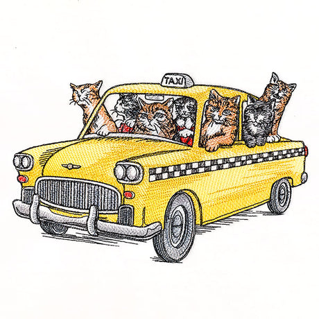 Feline Frisky Cat Taxi Service