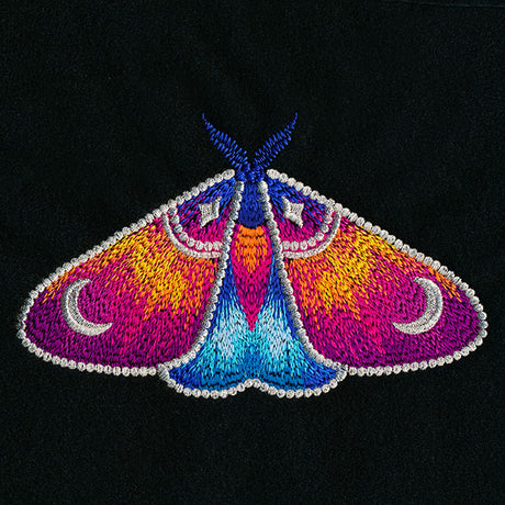 Into the Night Celestial Details Moth