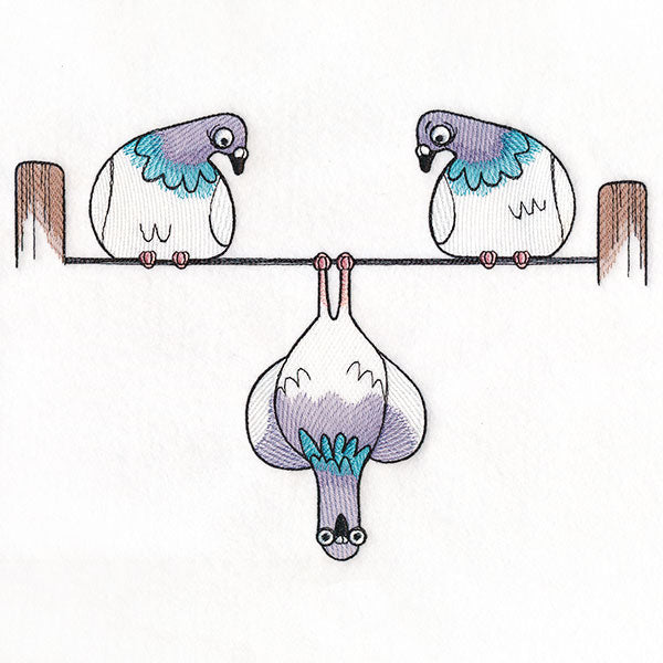 Pigeon Problems Border