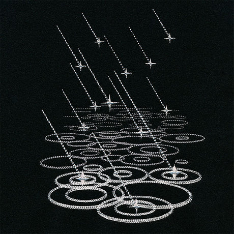 Starlight on Raindrops Feature