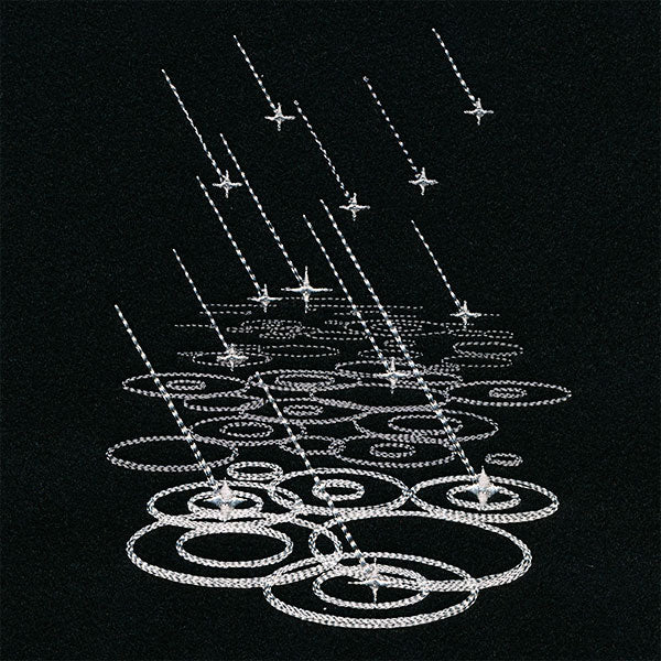 Starlight on Raindrops Feature