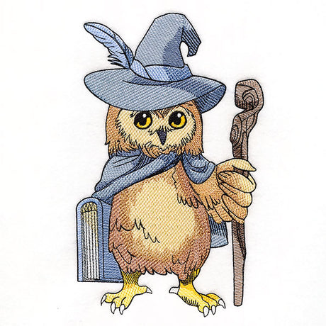 Wise Wizardry Owl