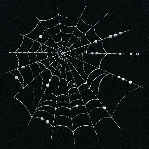 Spiraling Spiderwebs Feature
