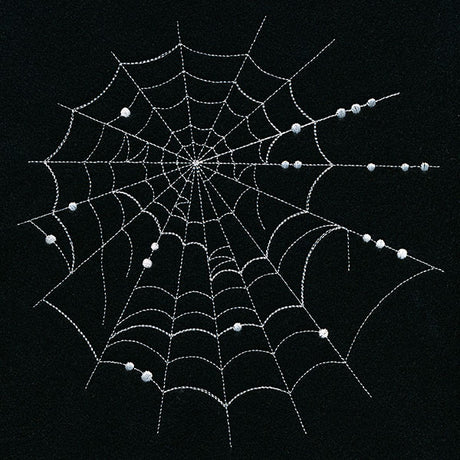 Spiraling Spiderwebs Feature