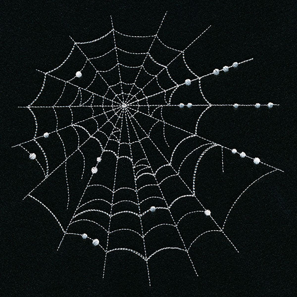 Spiraling Spiderwebs Feature
