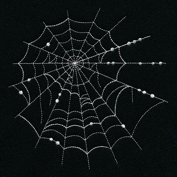 Spiraling Spiderwebs Feature