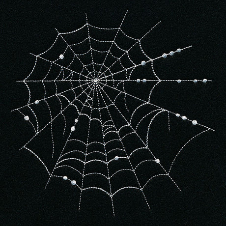 Spiraling Spiderwebs Feature