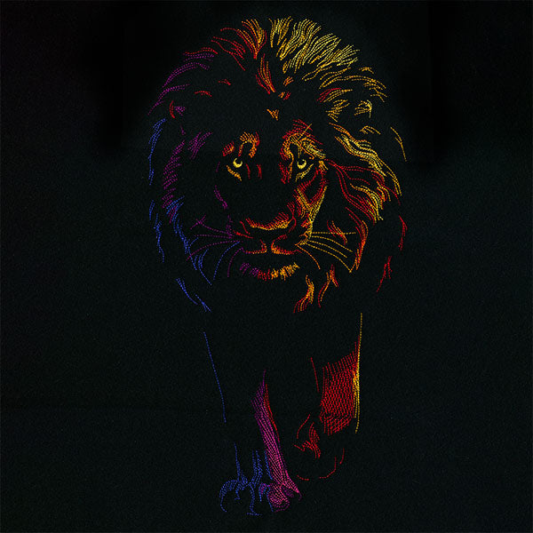 Rainbows & Mystery Lion