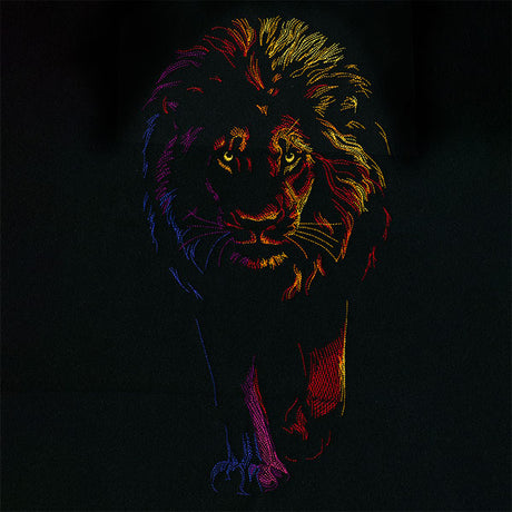 Rainbows & Mystery Lion