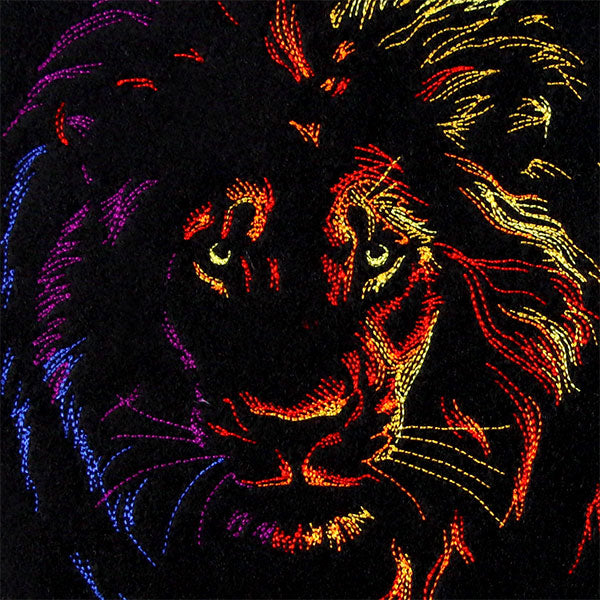 Rainbows & Mystery Lion