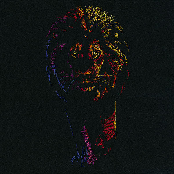 Rainbows & Mystery Lion