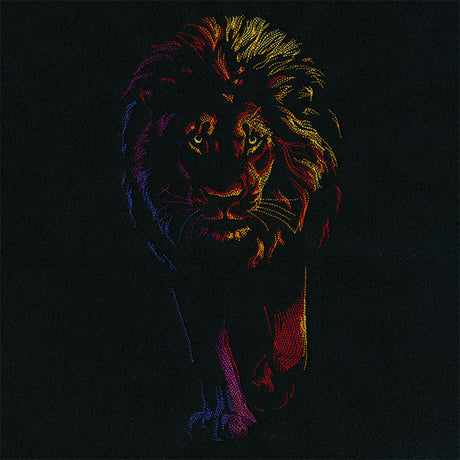 Rainbows & Mystery Lion