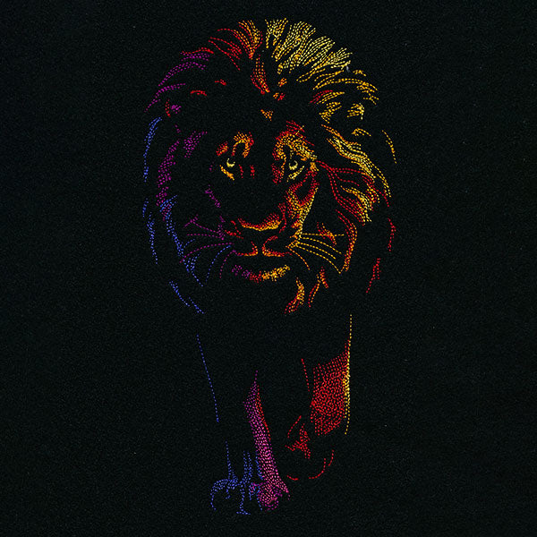 Rainbows & Mystery Lion