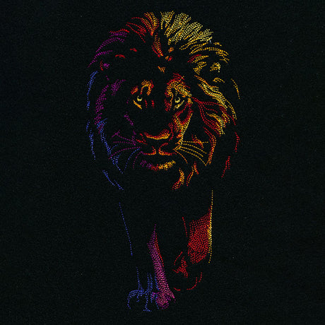 Rainbows & Mystery Lion