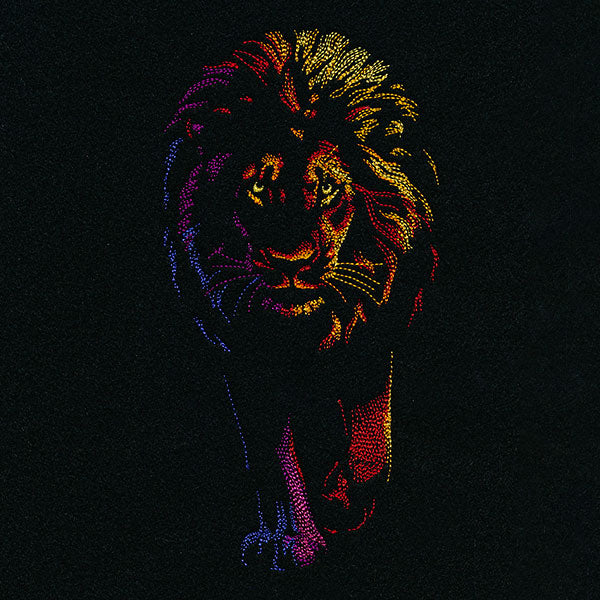 Rainbows & Mystery Lion