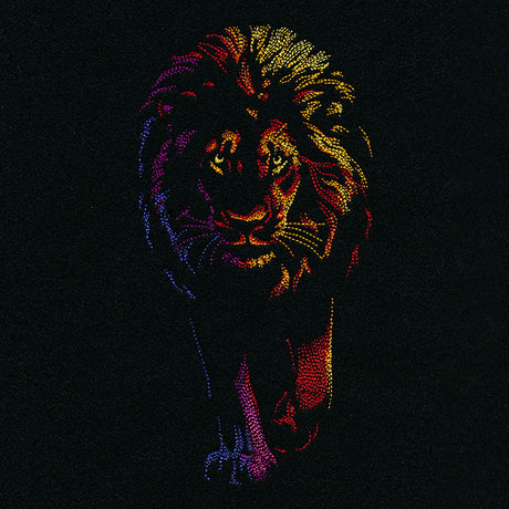 Rainbows & Mystery Lion