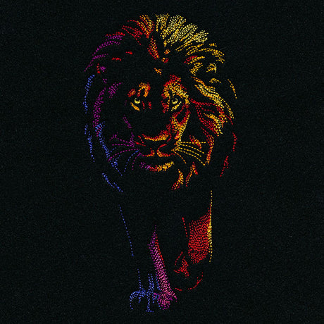 Rainbows & Mystery Lion