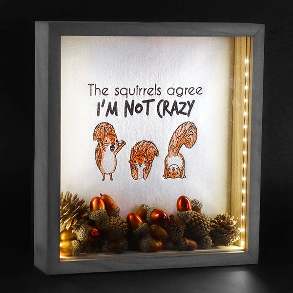 I'm Not Crazy Squirrels