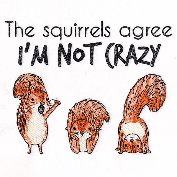 I'm Not Crazy Squirrels
