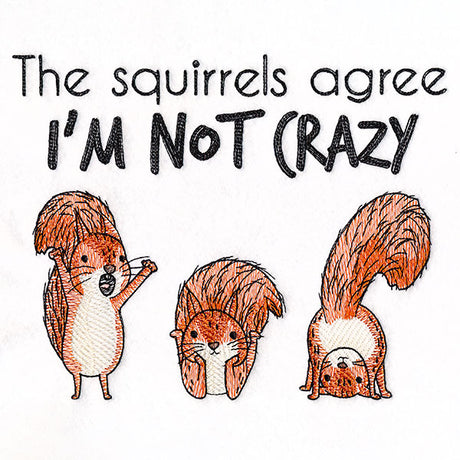 I'm Not Crazy Squirrels