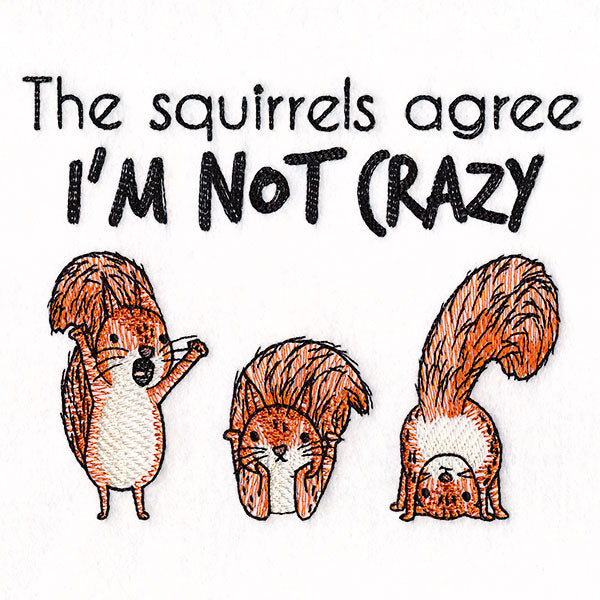I'm Not Crazy Squirrels