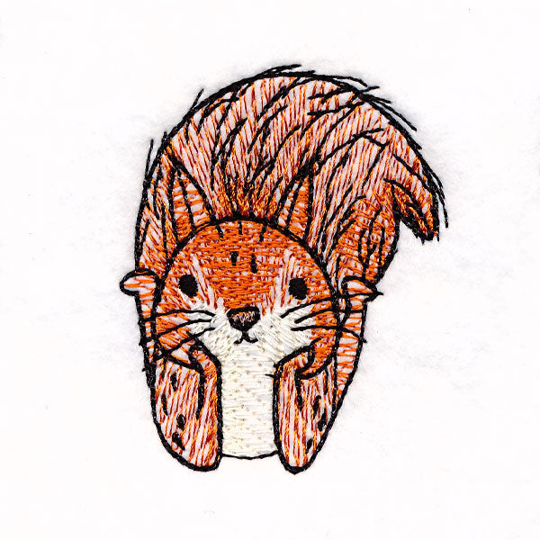 I'm Not Crazy - Squirrel 2