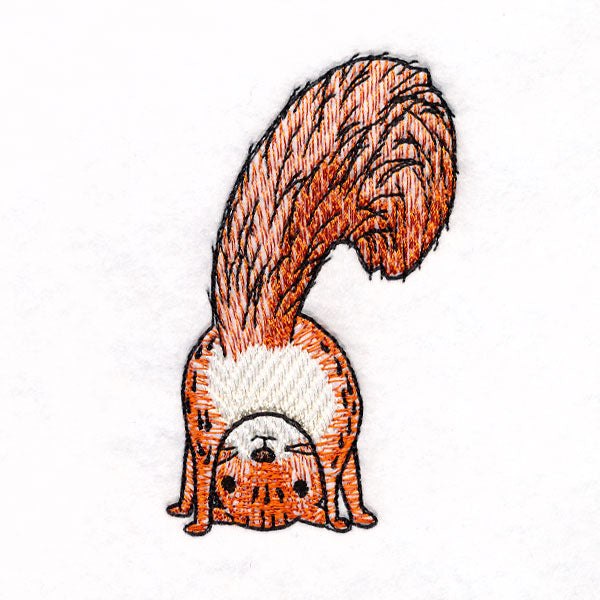 I'm Not Crazy - Squirrel 3