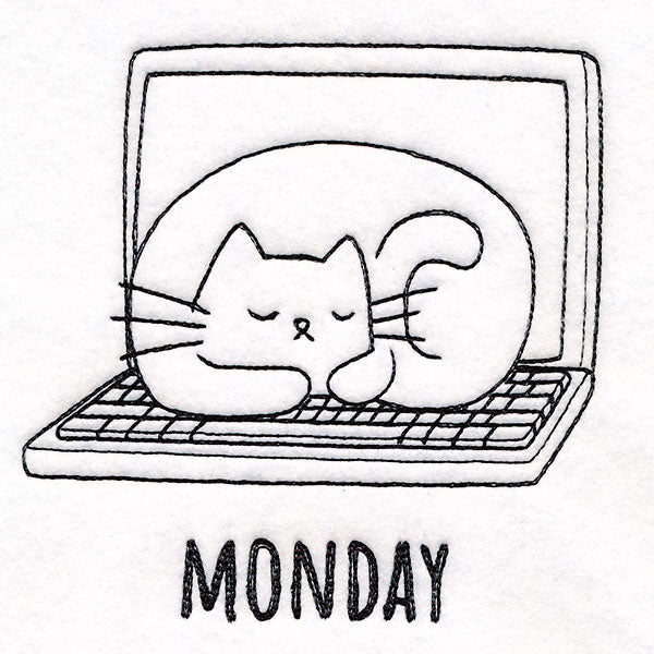 Co-working Cat on Monday