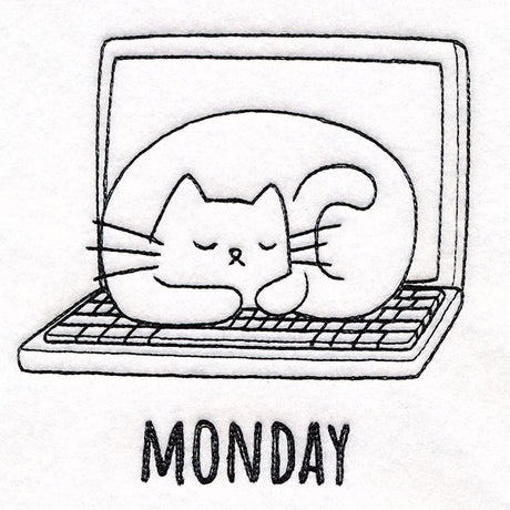 Co-working Cat on Monday