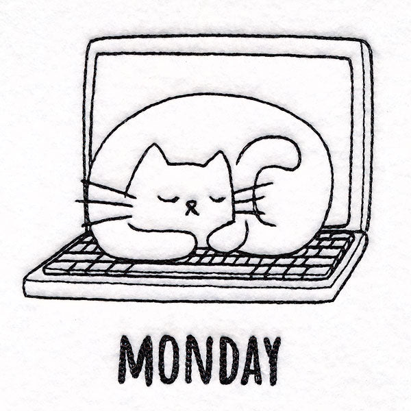 Co-working Cat on Monday