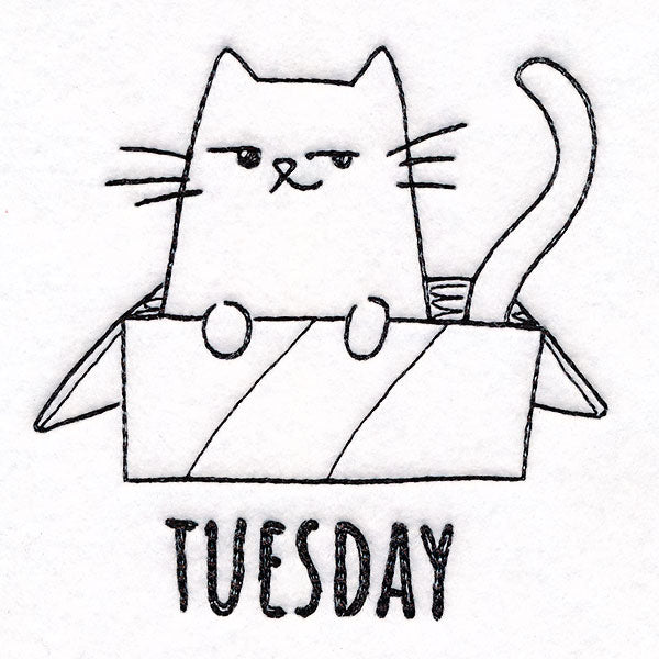 Box Claiming Cat on Tuesday