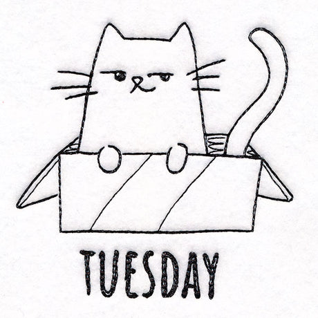 Box Claiming Cat on Tuesday