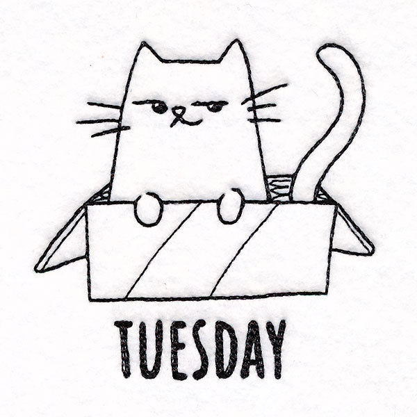 Box Claiming Cat on Tuesday