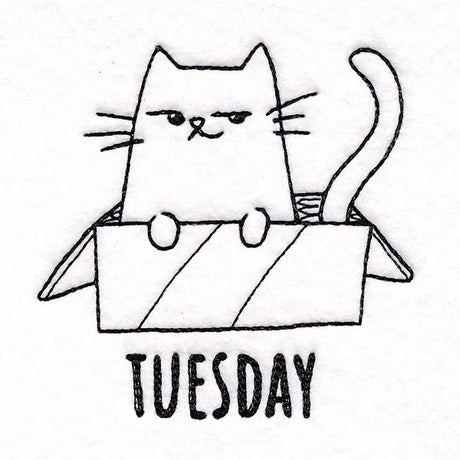 Box Claiming Cat on Tuesday