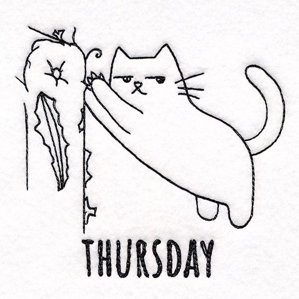 Furniture Scratching Cat on Thursday