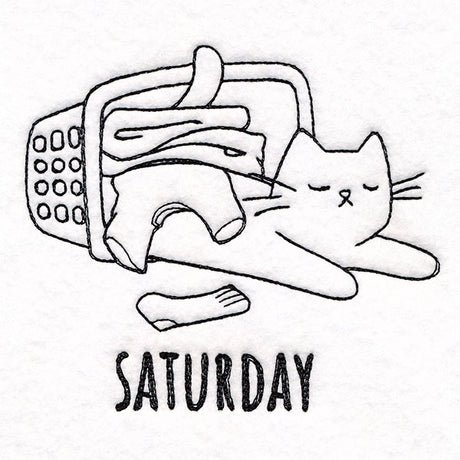 Laundry Mussing Cat on Saturday