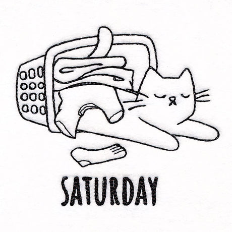 Laundry Mussing Cat on Saturday