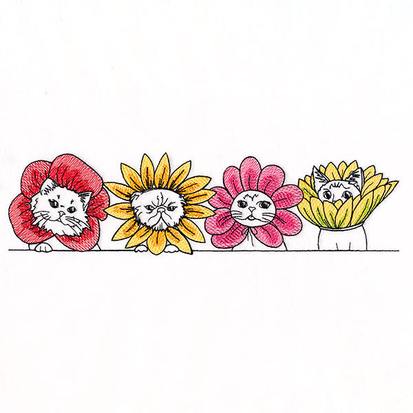 Cat Flowers Border