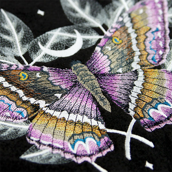 Black Witch Moth Feature