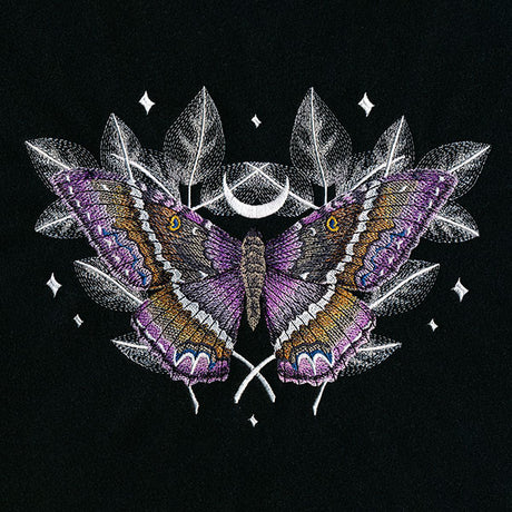 Black Witch Moth Feature