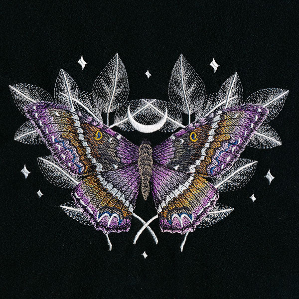 Black Witch Moth Feature