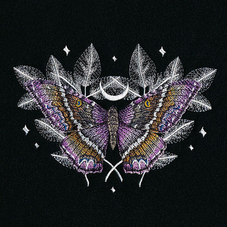 Black Witch Moth Feature